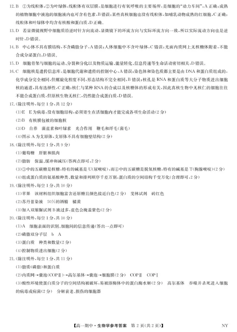 生物答案_2025年11月高一试卷_251110河河南省南阳市九师联盟2025-2026学年高一上学期期中考试_河南省南阳市九师联盟2025-2026学年高一上学期期中生物试题（含答案）