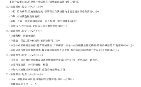 生物答案_2025年11月高一试卷_251110河河南省南阳市九师联盟2025-2026学年高一上学期期中考试_河南省南阳市九师联盟2025-2026学年高一上学期期中生物试题（含答案）