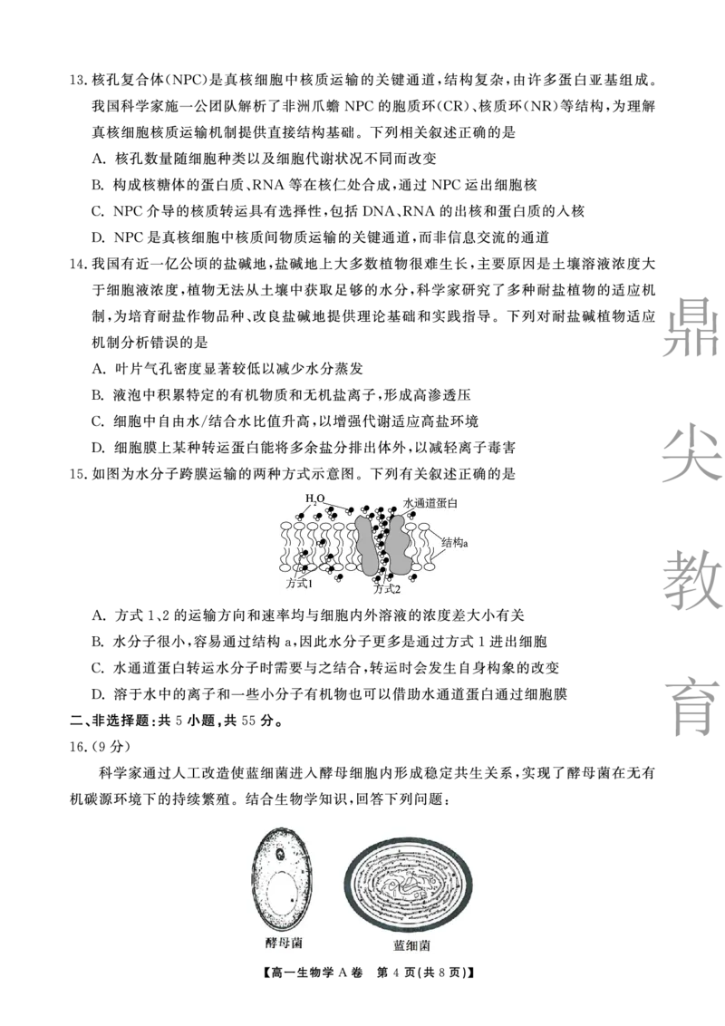 生物A卷安徽省鼎尖名校大联考2025-2026学年上学期高一11月期中考试_2025年11月高一试卷_251123安徽省鼎尖名校大联考2025-2026学年上学期高一11月期中考试（全）