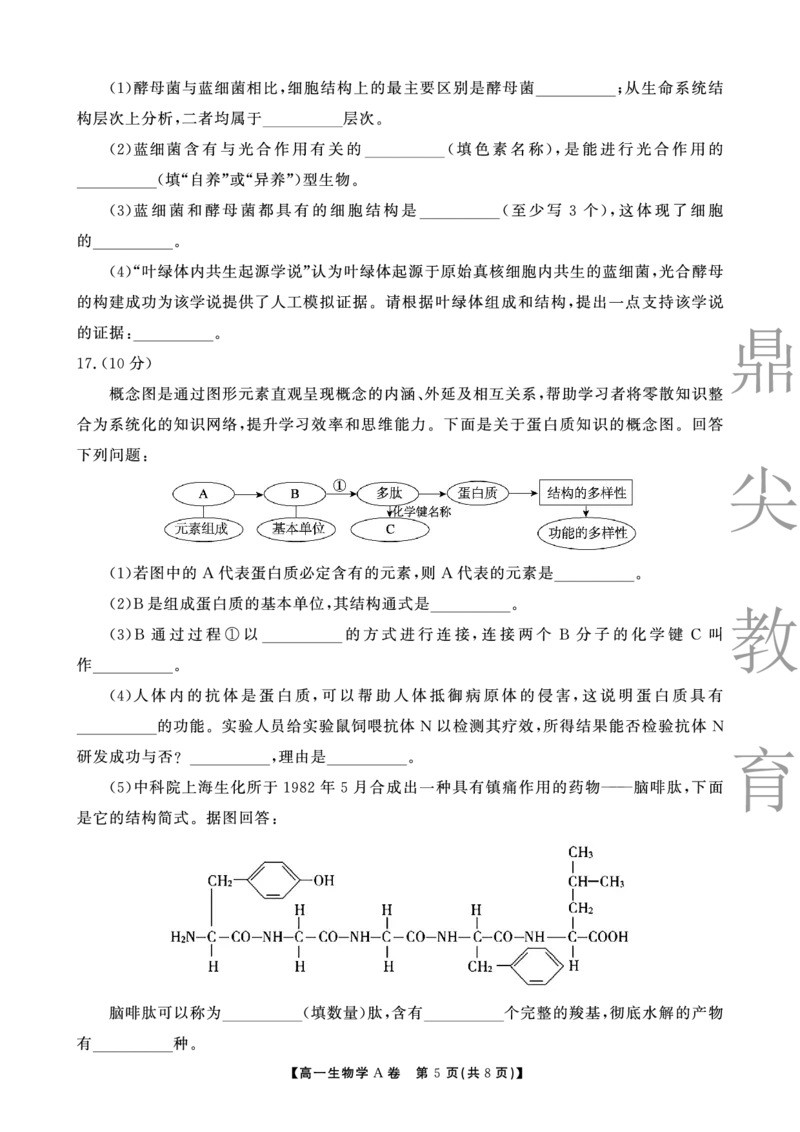 生物A卷安徽省鼎尖名校大联考2025-2026学年上学期高一11月期中考试_2025年11月高一试卷_251123安徽省鼎尖名校大联考2025-2026学年上学期高一11月期中考试（全）