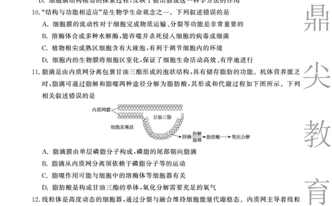 生物A卷安徽省鼎尖名校大联考2025-2026学年上学期高一11月期中考试_2025年11月高一试卷_251123安徽省鼎尖名校大联考2025-2026学年上学期高一11月期中考试（全）