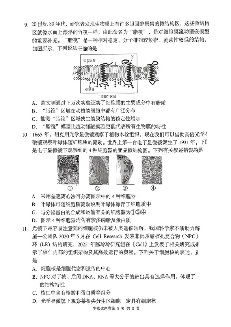 生物学试题-2025年11月高一期中联考_2025年12月高一试卷_251205湖南省G10、H11教育联盟、三新协作体2025-2026学年高一上学期期中联考