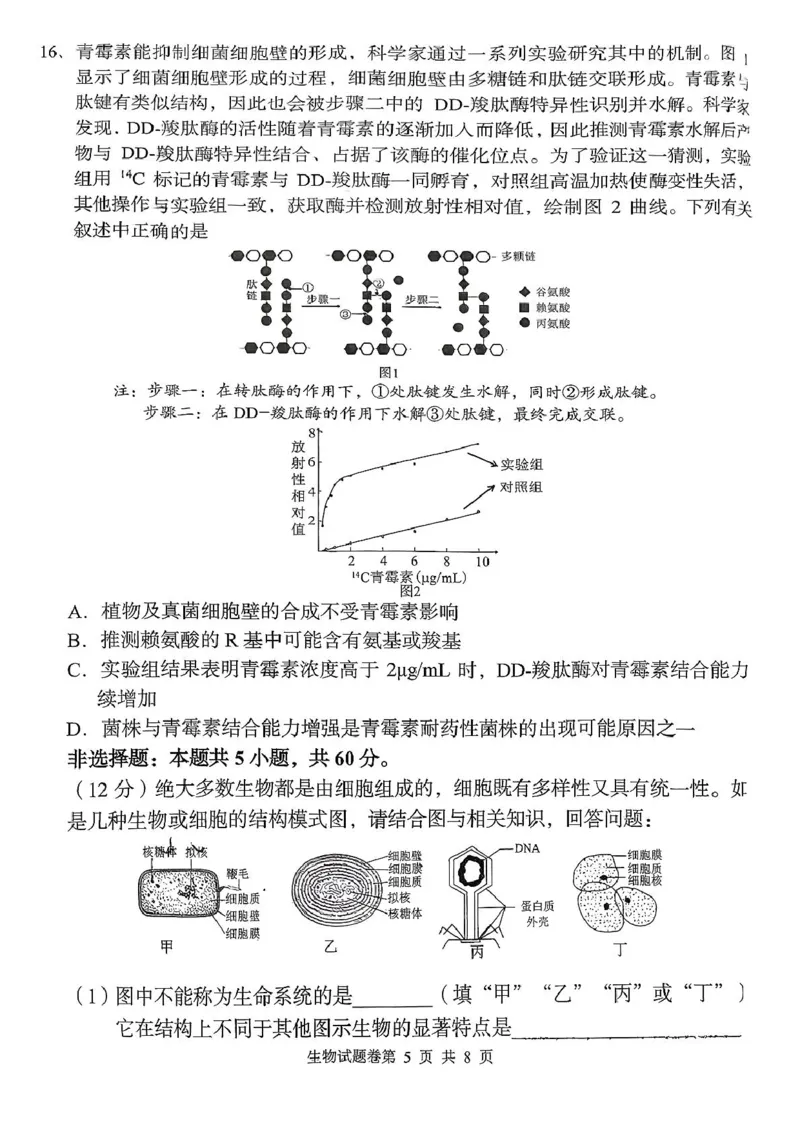 生物学试题-2025年11月高一期中联考_2025年12月高一试卷_251205湖南省G10、H11教育联盟、三新协作体2025-2026学年高一上学期期中联考