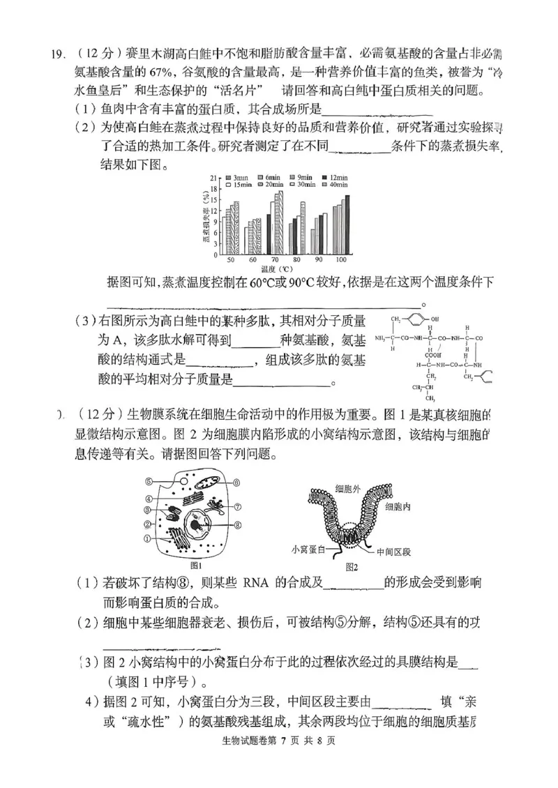 生物学试题-2025年11月高一期中联考_2025年12月高一试卷_251205湖南省G10、H11教育联盟、三新协作体2025-2026学年高一上学期期中联考