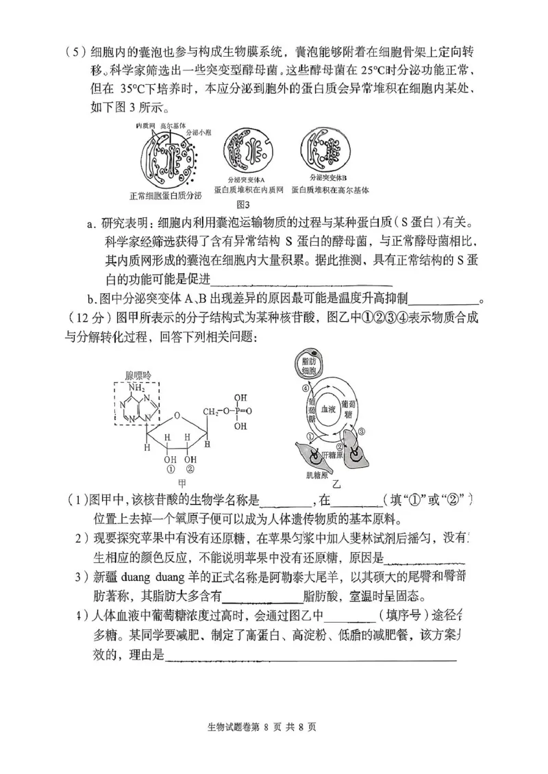 生物学试题-2025年11月高一期中联考_2025年12月高一试卷_251205湖南省G10、H11教育联盟、三新协作体2025-2026学年高一上学期期中联考