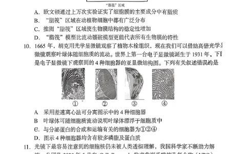 生物学试题-2025年11月高一期中联考_2025年12月高一试卷_251205湖南省G10、H11教育联盟、三新协作体2025-2026学年高一上学期期中联考