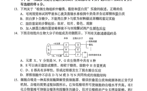 生物学试题-2025年11月高一期中联考_2025年12月高一试卷_251205湖南省G10、H11教育联盟、三新协作体2025-2026学年高一上学期期中联考