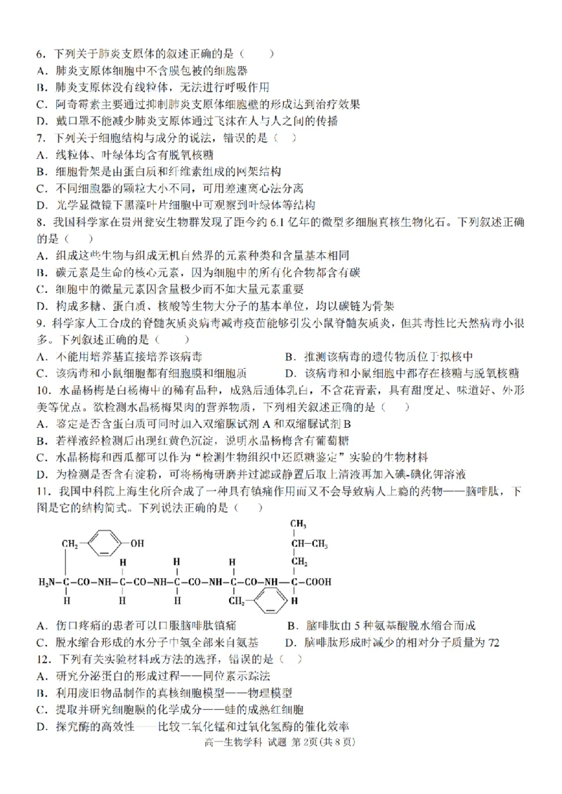 生物卷-2511高一环大罗山_2025年12月高一试卷_251210浙江省环大罗山联盟2025-2026学年高一上学期11月期中（全）