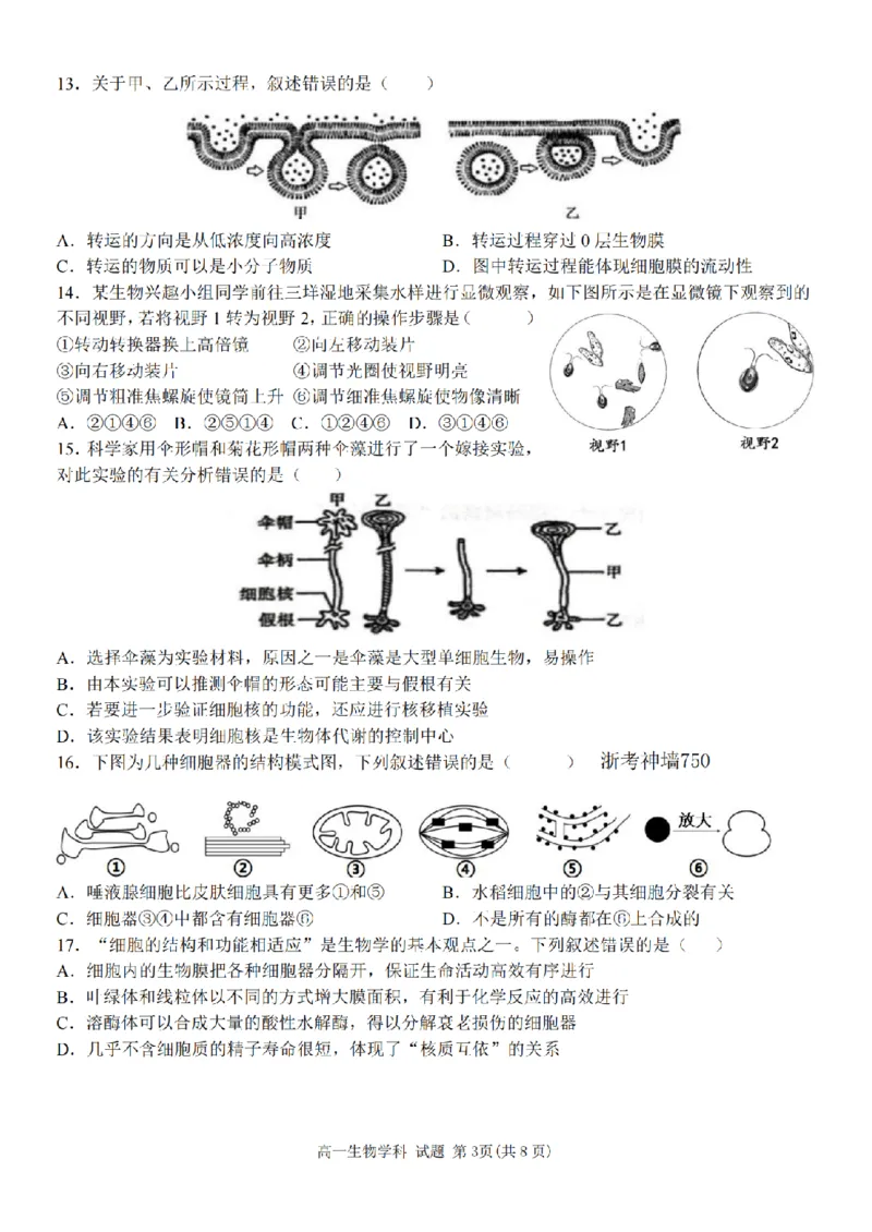 生物卷-2511高一环大罗山_2025年12月高一试卷_251210浙江省环大罗山联盟2025-2026学年高一上学期11月期中（全）