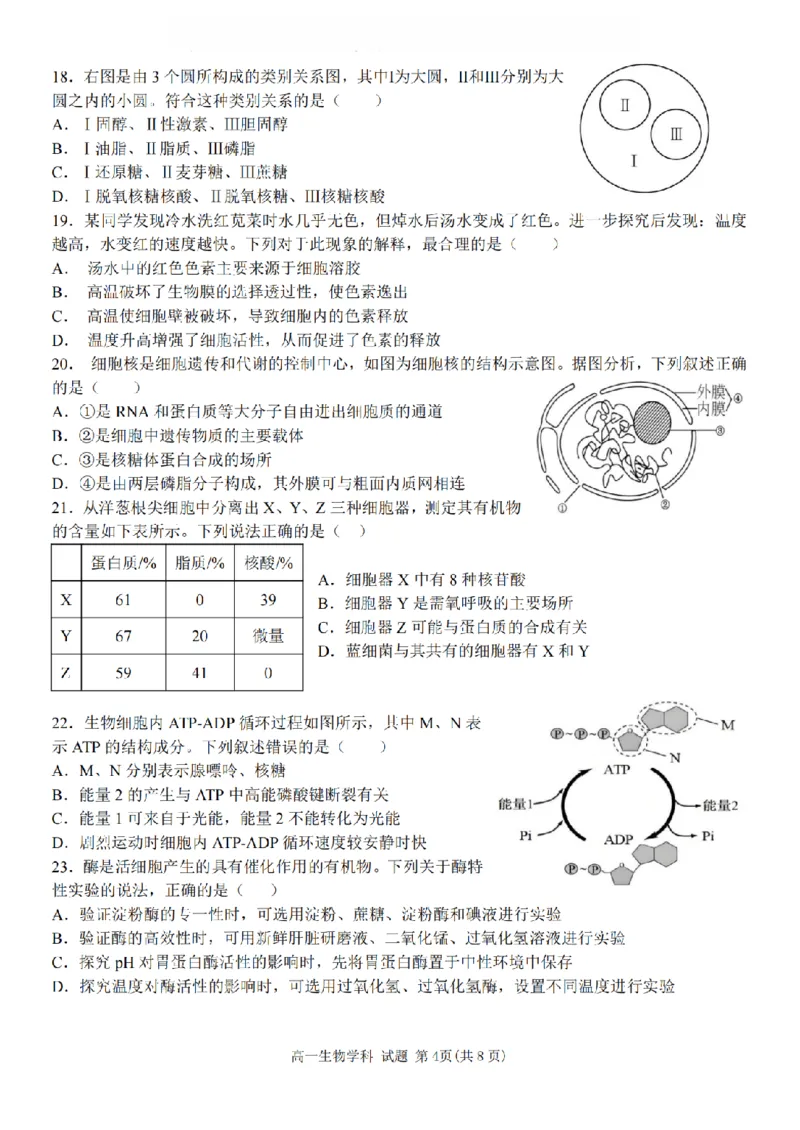 生物卷-2511高一环大罗山_2025年12月高一试卷_251210浙江省环大罗山联盟2025-2026学年高一上学期11月期中（全）