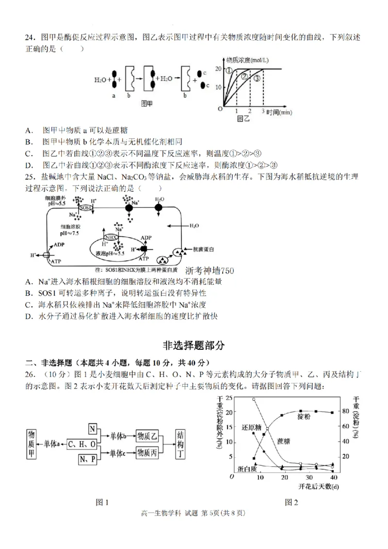 生物卷-2511高一环大罗山_2025年12月高一试卷_251210浙江省环大罗山联盟2025-2026学年高一上学期11月期中（全）