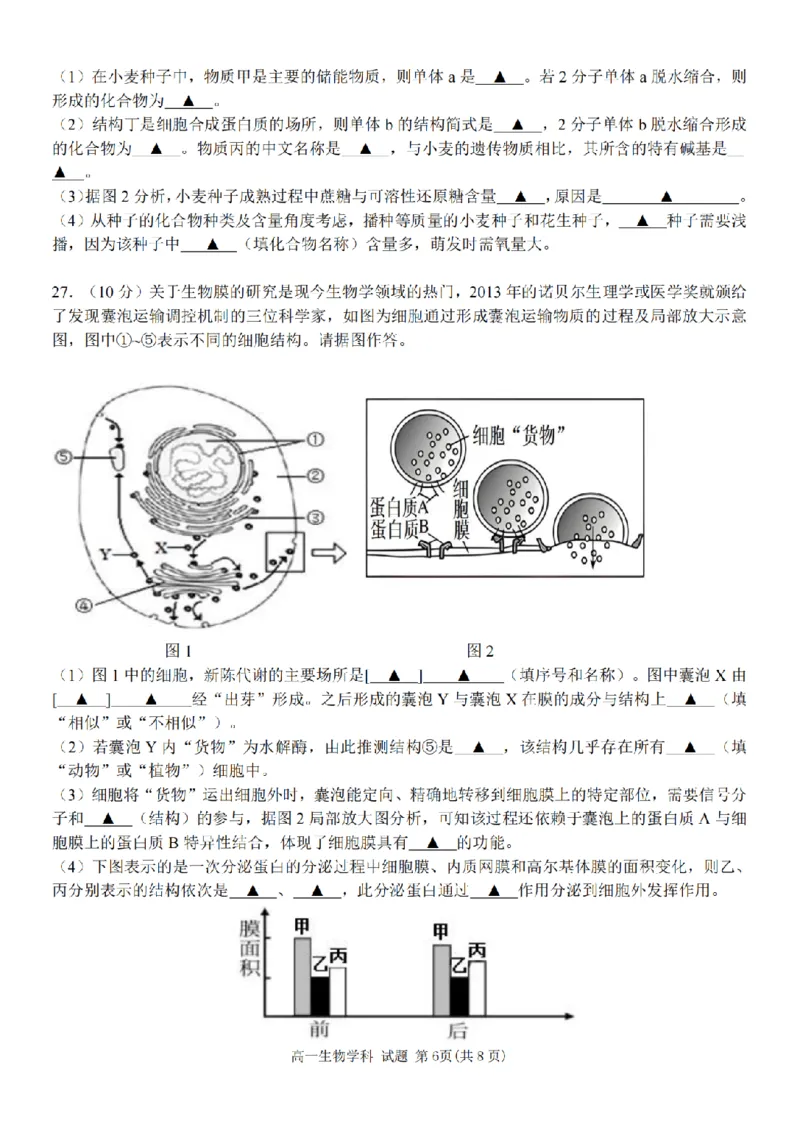 生物卷-2511高一环大罗山_2025年12月高一试卷_251210浙江省环大罗山联盟2025-2026学年高一上学期11月期中（全）