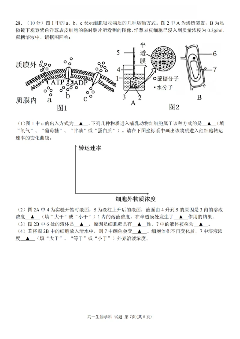 生物卷-2511高一环大罗山_2025年12月高一试卷_251210浙江省环大罗山联盟2025-2026学年高一上学期11月期中（全）