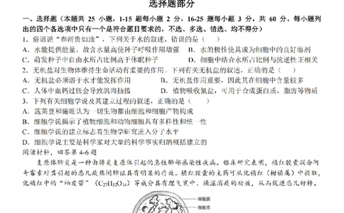 生物卷-2511高一环大罗山_2025年12月高一试卷_251210浙江省环大罗山联盟2025-2026学年高一上学期11月期中（全）