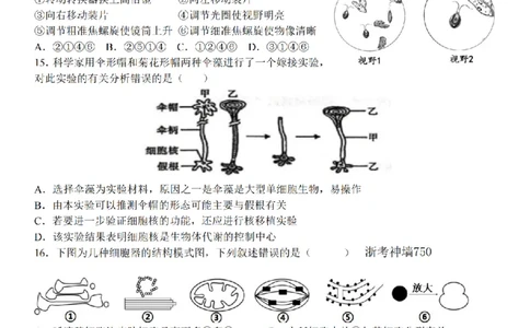 生物卷-2511高一环大罗山_2025年12月高一试卷_251210浙江省环大罗山联盟2025-2026学年高一上学期11月期中（全）