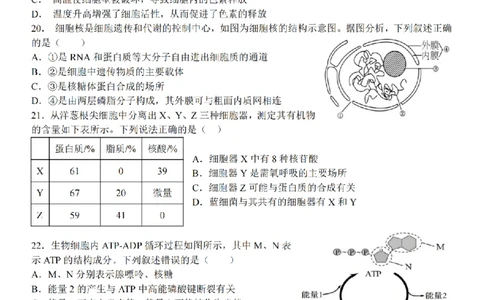 生物卷-2511高一环大罗山_2025年12月高一试卷_251210浙江省环大罗山联盟2025-2026学年高一上学期11月期中（全）