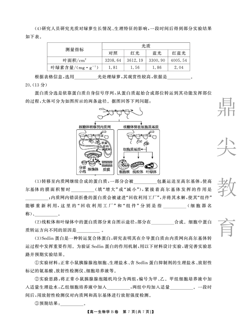 生物B卷安徽省鼎尖名校大联考2025-2026学年上学期高一11月期中考试_2025年11月高一试卷_251123安徽省鼎尖名校大联考2025-2026学年上学期高一11月期中考试（全）
