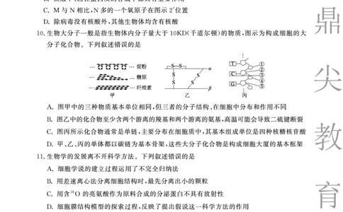 生物B卷安徽省鼎尖名校大联考2025-2026学年上学期高一11月期中考试_2025年11月高一试卷_251123安徽省鼎尖名校大联考2025-2026学年上学期高一11月期中考试（全）