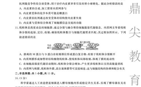 生物B卷安徽省鼎尖名校大联考2025-2026学年上学期高一11月期中考试_2025年11月高一试卷_251123安徽省鼎尖名校大联考2025-2026学年上学期高一11月期中考试（全）