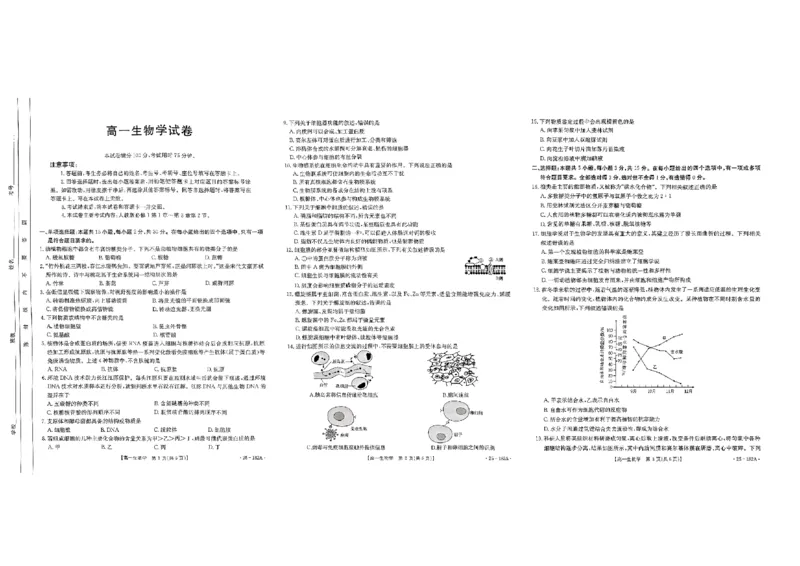 生物试题_2024年11月试卷_1122金太阳内蒙古赤峰市名校2024-2025学年高一期中联考_内蒙古赤峰市名校2024-2025学年高一上学期期中联考生物试题（含答案）