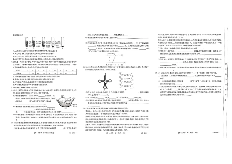 生物试题_2024年11月试卷_1122金太阳内蒙古赤峰市名校2024-2025学年高一期中联考_内蒙古赤峰市名校2024-2025学年高一上学期期中联考生物试题（含答案）