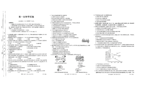 生物试题_2024年11月试卷_1122金太阳内蒙古赤峰市名校2024-2025学年高一期中联考_内蒙古赤峰市名校2024-2025学年高一上学期期中联考生物试题（含答案）