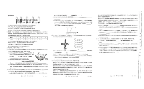 生物试题_2024年11月试卷_1122金太阳内蒙古赤峰市名校2024-2025学年高一期中联考_内蒙古赤峰市名校2024-2025学年高一上学期期中联考生物试题（含答案）