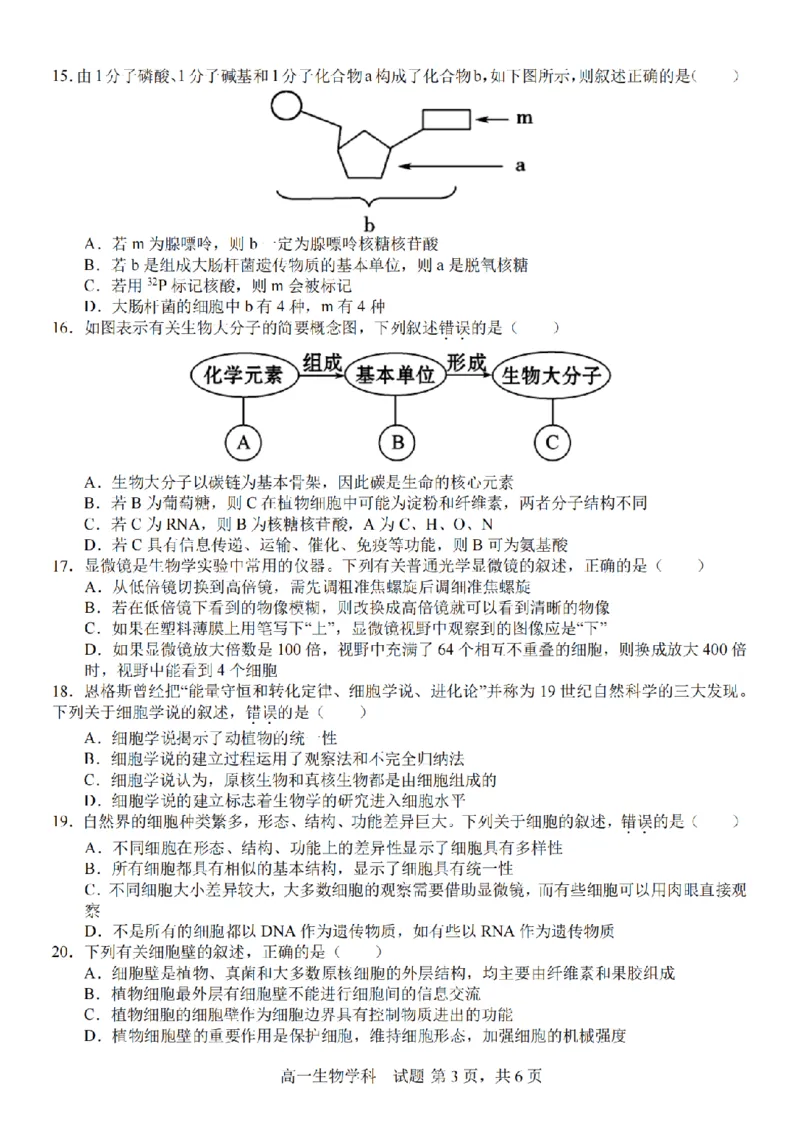 生物卷-2510高一精诚联盟_2025年10月高一试卷_251013浙江精诚联盟2025-2026学年高一上学期10月联考（全）_浙江省精诚联盟2025-2026学年高一上学期10月月考生物试题（含答案）