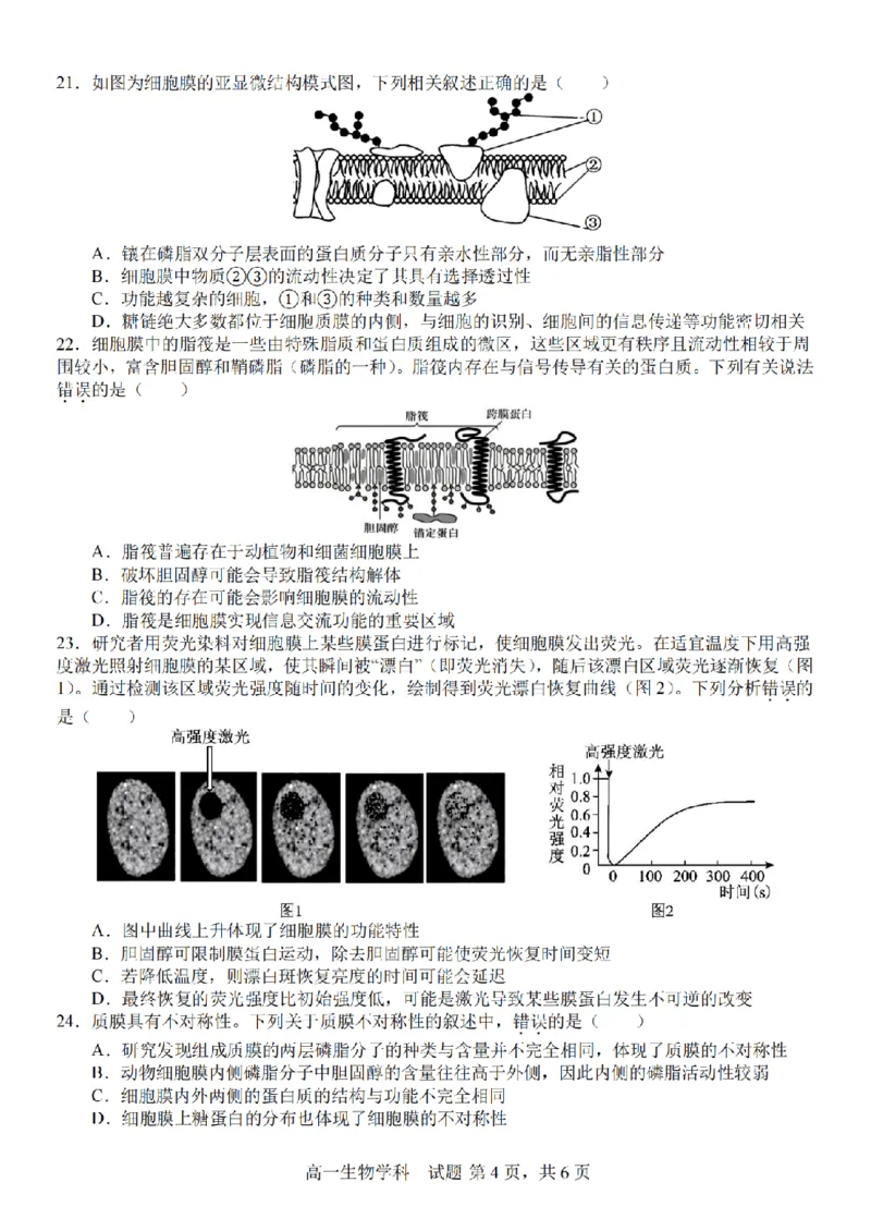 生物卷-2510高一精诚联盟_2025年10月高一试卷_251013浙江精诚联盟2025-2026学年高一上学期10月联考（全）_浙江省精诚联盟2025-2026学年高一上学期10月月考生物试题（含答案）