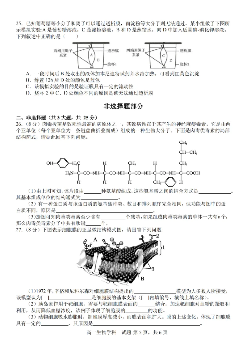 生物卷-2510高一精诚联盟_2025年10月高一试卷_251013浙江精诚联盟2025-2026学年高一上学期10月联考（全）_浙江省精诚联盟2025-2026学年高一上学期10月月考生物试题（含答案）
