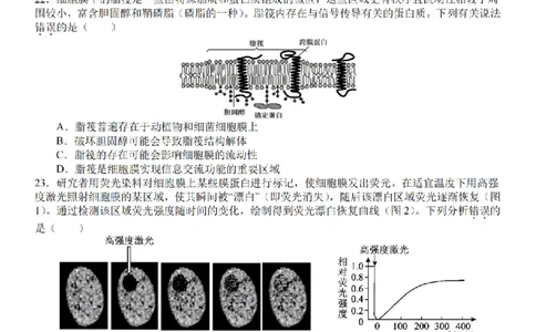 生物卷-2510高一精诚联盟_2025年10月高一试卷_251013浙江精诚联盟2025-2026学年高一上学期10月联考（全）_浙江省精诚联盟2025-2026学年高一上学期10月月考生物试题（含答案）