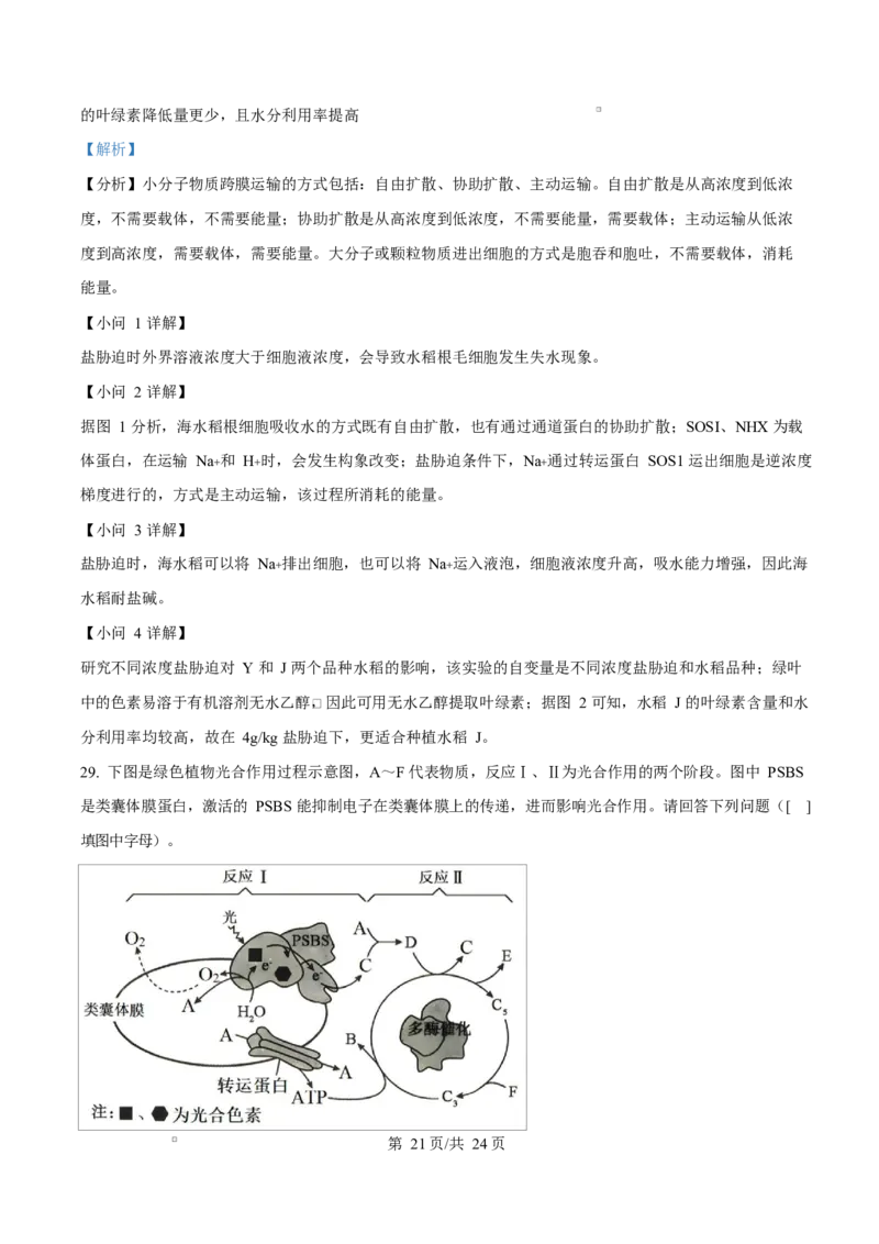 福建省漳州市2024-2025学年高一上学期期末考试生物试题Word版含解析_2025年03月试卷_0310福建省漳州市2024-2025学年高一上学期1月期末考试