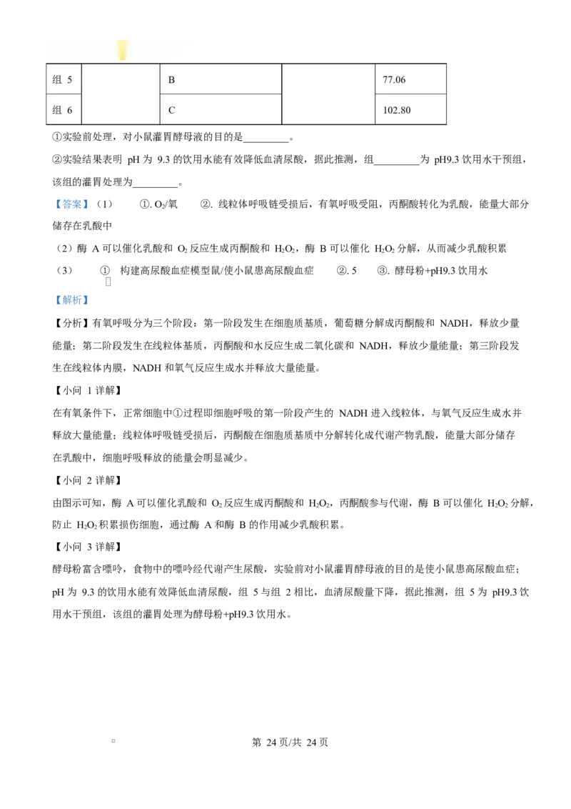 福建省漳州市2024-2025学年高一上学期期末考试生物试题Word版含解析_2025年03月试卷_0310福建省漳州市2024-2025学年高一上学期1月期末考试