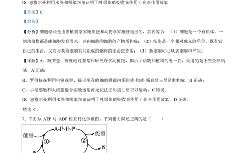 福建省漳州市2024-2025学年高一上学期期末考试生物试题Word版含解析_2025年03月试卷_0310福建省漳州市2024-2025学年高一上学期1月期末考试