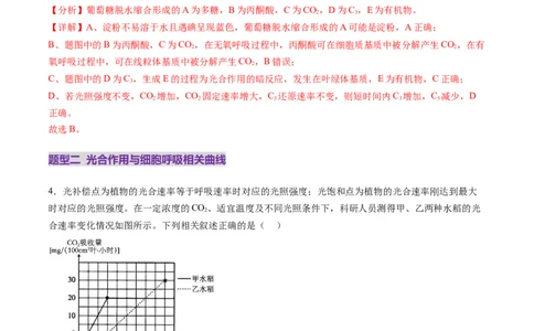 第11讲细胞代谢综合分析（练习）（解析版）_新高考复习资料_2025年新高考资料_2025年高考生物一轮复习讲练测（新教材新高考）
