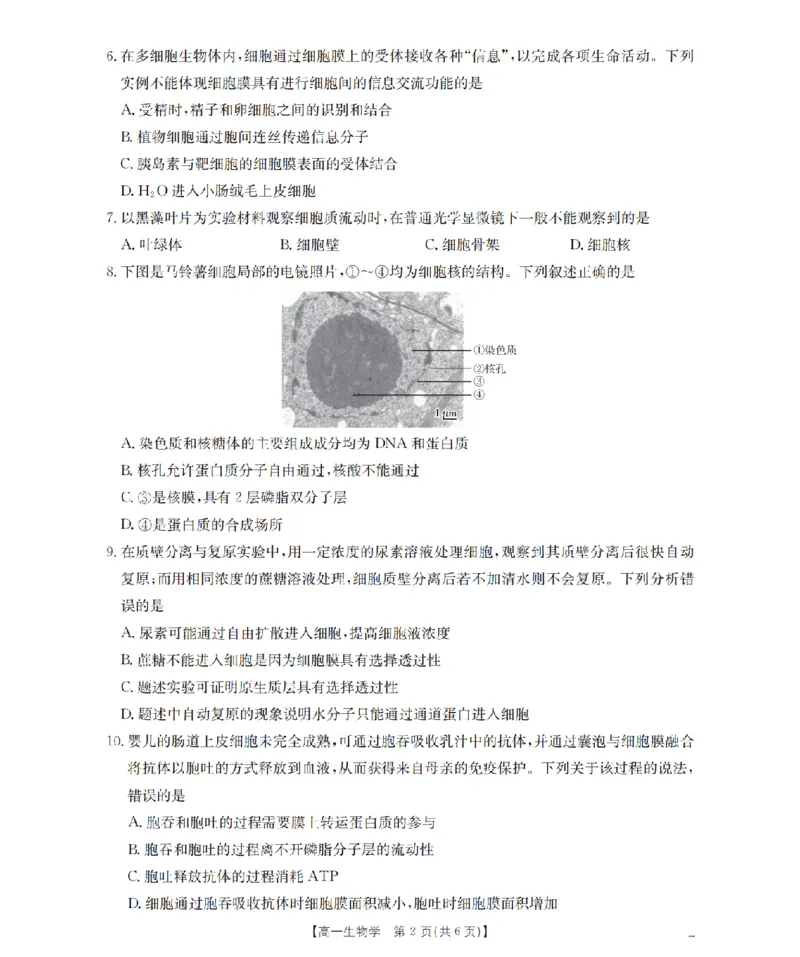 生物学_扫描版_2026年02月高一试卷_260206甘肃省定西地区2025-2026学年高一上学期1月期末（全）