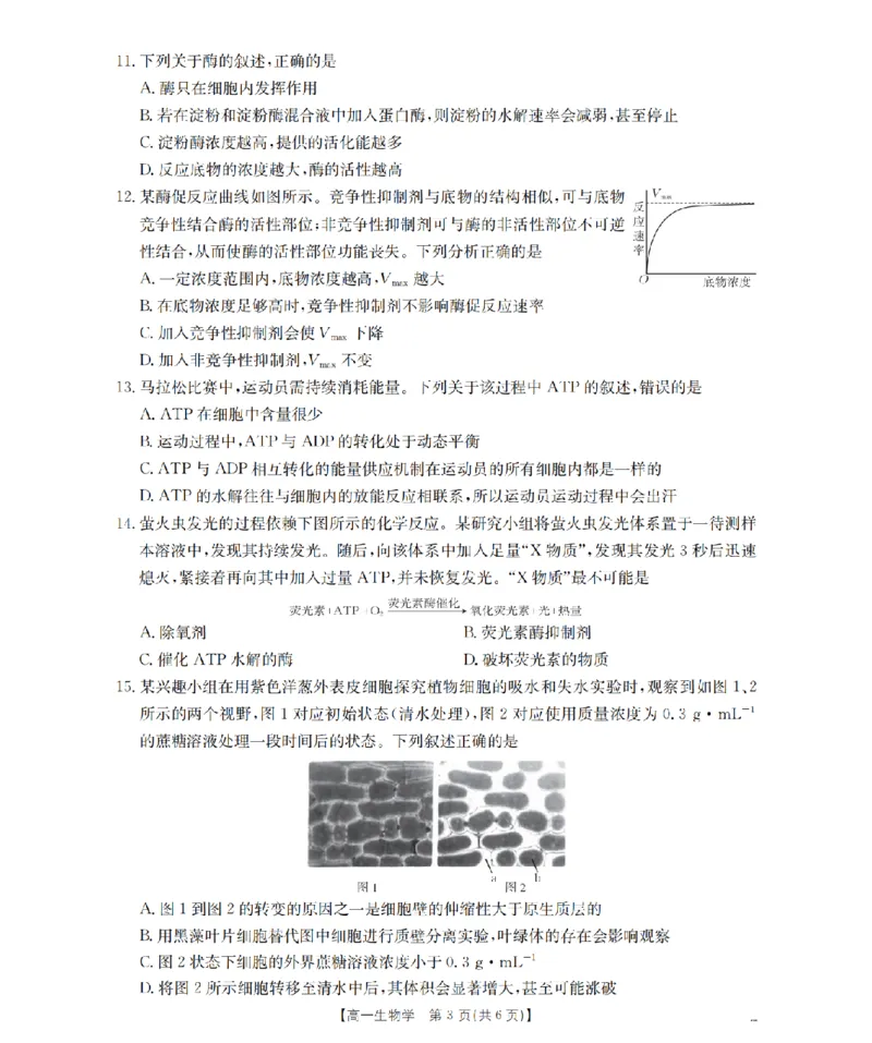 生物学_扫描版_2026年02月高一试卷_260206甘肃省定西地区2025-2026学年高一上学期1月期末（全）