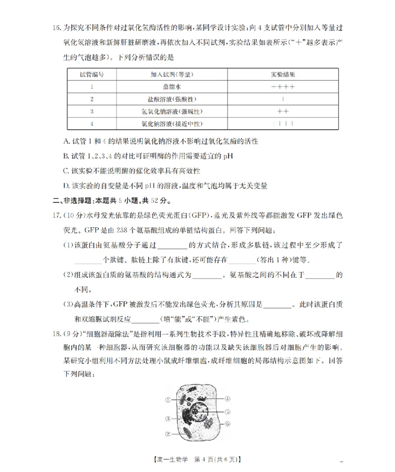 生物学_扫描版_2026年02月高一试卷_260206甘肃省定西地区2025-2026学年高一上学期1月期末（全）