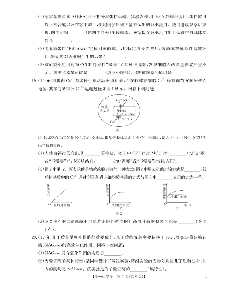 生物学_扫描版_2026年02月高一试卷_260206甘肃省定西地区2025-2026学年高一上学期1月期末（全）