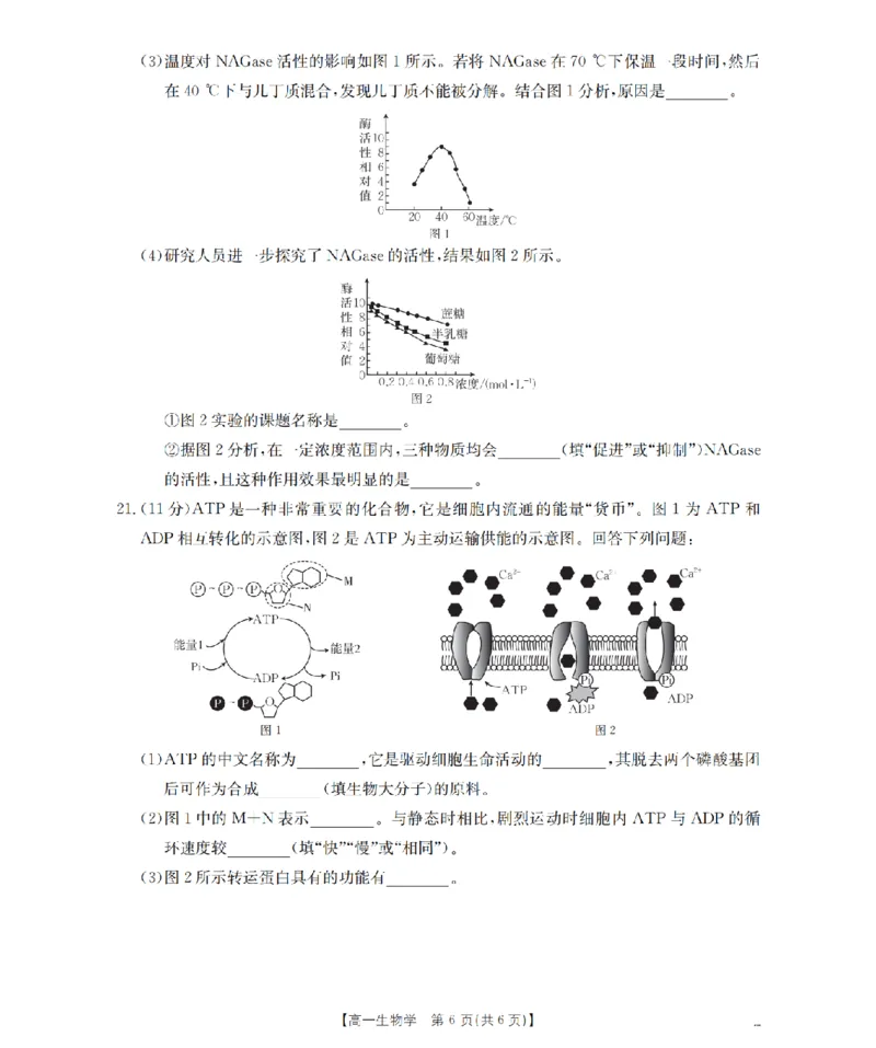 生物学_扫描版_2026年02月高一试卷_260206甘肃省定西地区2025-2026学年高一上学期1月期末（全）