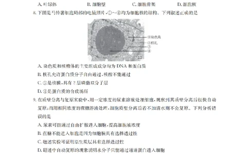 生物学_扫描版_2026年02月高一试卷_260206甘肃省定西地区2025-2026学年高一上学期1月期末（全）