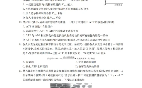 生物学_扫描版_2026年02月高一试卷_260206甘肃省定西地区2025-2026学年高一上学期1月期末（全）