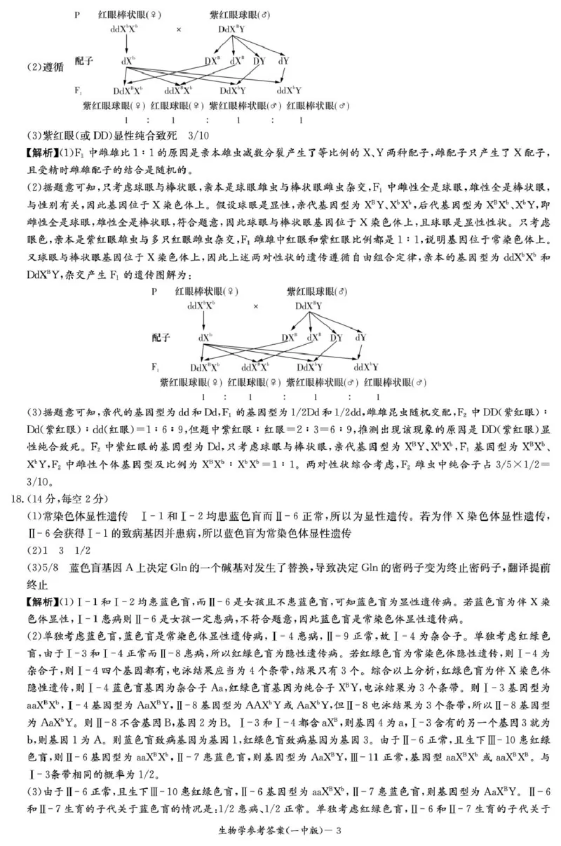 生物答案（高一期中）_2025年05月试卷_0530湖南省长沙市第一中学2024-2025学年高一下学期期中考试_湖南省长沙市第一中学2024-2025学年高一下学期期中考试生物试题Word版含解析