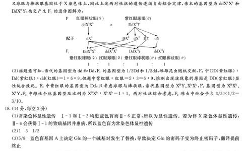 生物答案（高一期中）_2025年05月试卷_0530湖南省长沙市第一中学2024-2025学年高一下学期期中考试_湖南省长沙市第一中学2024-2025学年高一下学期期中考试生物试题Word版含解析