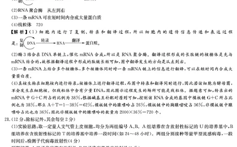 生物答案（高一期中）_2025年05月试卷_0530湖南省长沙市第一中学2024-2025学年高一下学期期中考试_湖南省长沙市第一中学2024-2025学年高一下学期期中考试生物试题Word版含解析