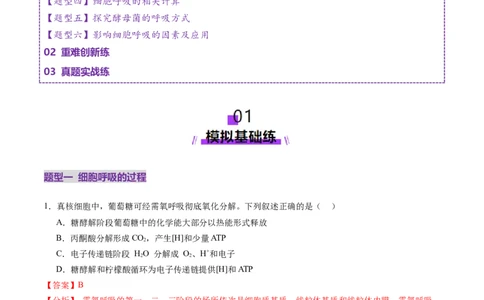 第09讲细胞呼吸（练习）（解析版）_新高考复习资料_2025年新高考资料_2025年高考生物一轮复习讲练测（新教材新高考）