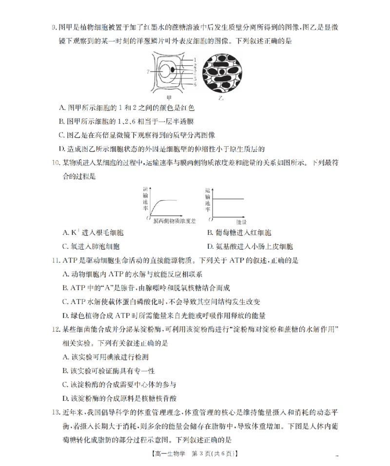 生物_扫描版_2026年02月高一试卷_260215河南省南阳地区2025-2026学年高一上学期期末摸底考试卷（全）