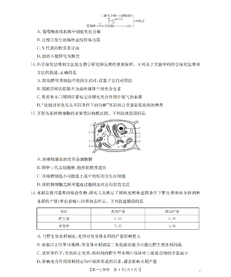 生物_扫描版_2026年02月高一试卷_260215河南省南阳地区2025-2026学年高一上学期期末摸底考试卷（全）