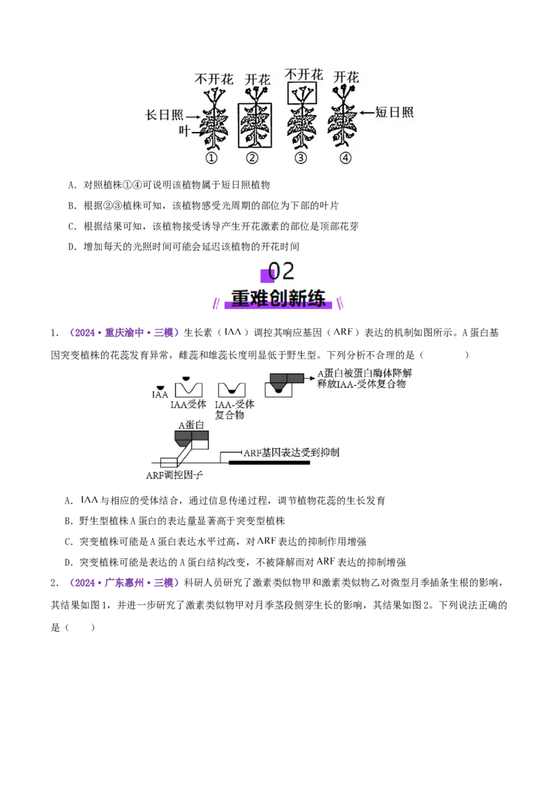 第13讲+植物生命活动的调节（专项训练，3大题型）（原卷版）_2025年新高考资料_二轮复习_上好课2025年高考生物二轮复习讲练测（新高考通用）3380526