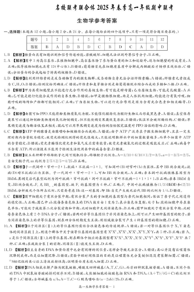 生物答案（高一4月期中）_2025年04月试卷_0422湖南省名校联考联合体2024-2025学年高一下学期期中考试_湖南省名校联考联合体2024-2025学年高一下学期期中考试生物试题扫描版含解析